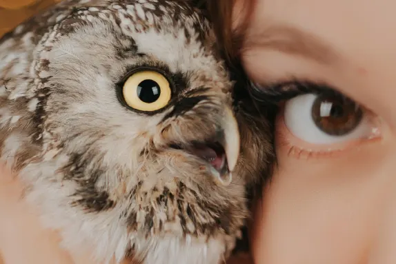 קזינו אם אר פורצ'ן תמיכה